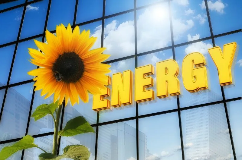 Solarenergie – die günstigste Energie aller Zeiten